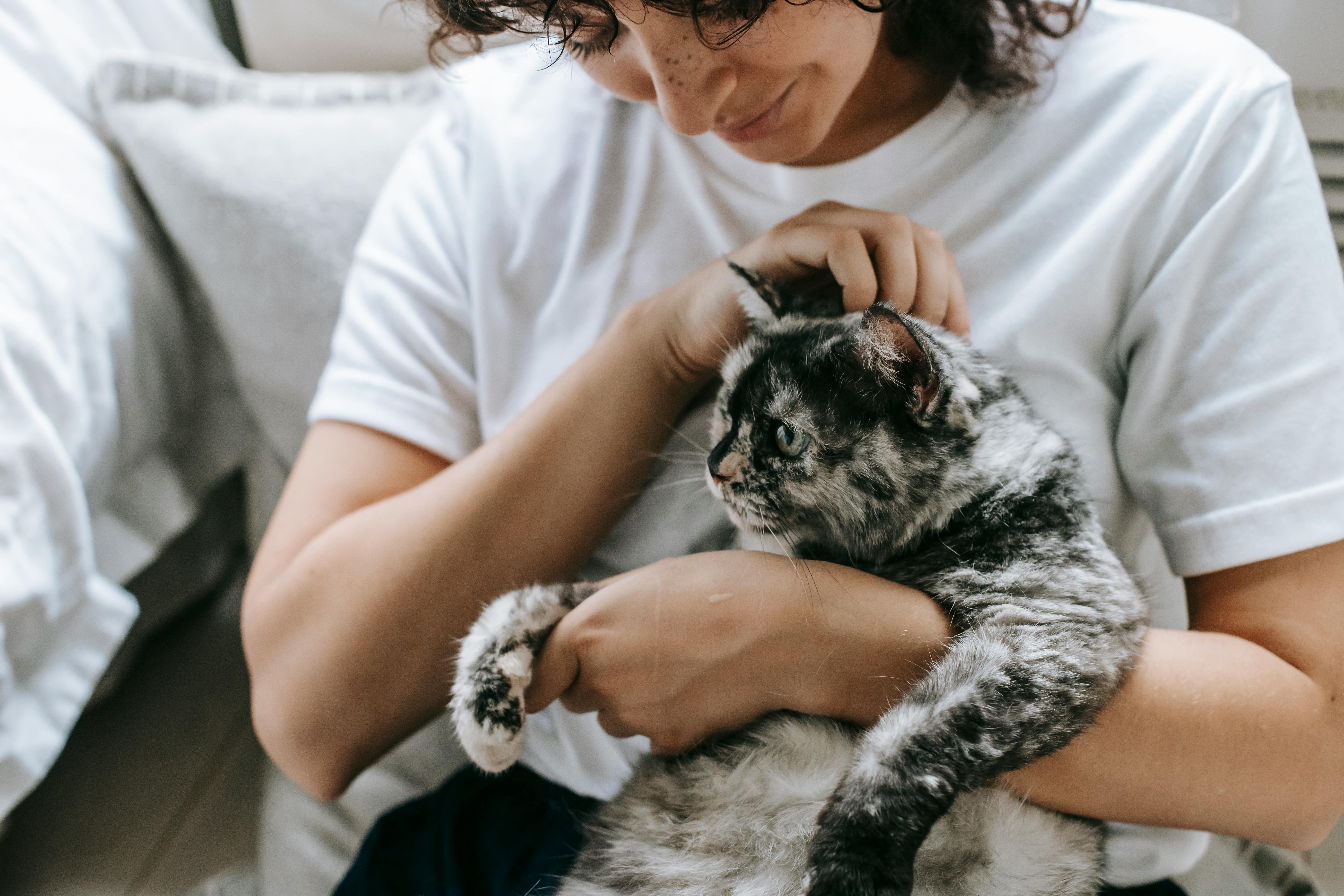 pexels-sam-lion-6001203