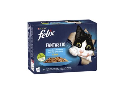 OBC020423 1617781643