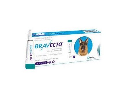 Bravecto Dog L 1000 mg spot-on roztok pre veľké psy ( od 20 do 40 kg ) 1 x 3,57 ml