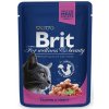 BRIT Premium cat Kapsička Adult Salmon & Trout 100 g