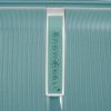 32103 sliver green 19 7