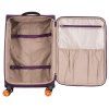 S48303 PURPLE 28 (12)