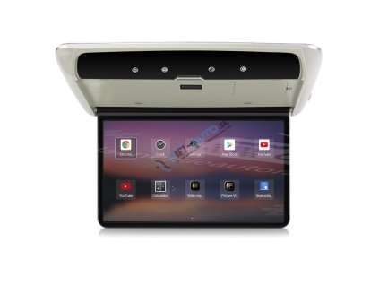 vyr 16581 DS 156Acgr