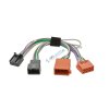 vyr 18319 IW Toy Y Iso V2 titul foto
