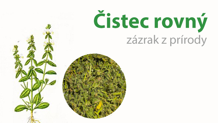 čistec
