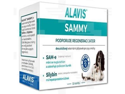 360 alavis sammy 30 tbl