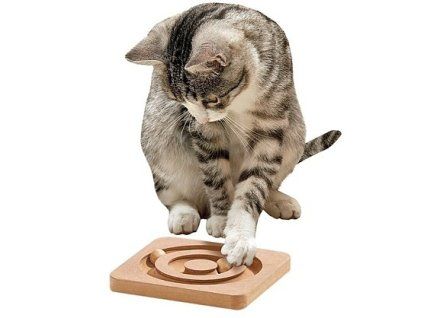 7188 kitty brain train