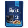 1674 brit premium cat kapsicka kitten chicken chunks 100 g