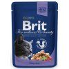 6384 brit premium cat kapsicka adult cod fish 100 g