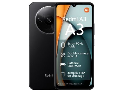 A3