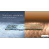 2025 Motorola Signature TRAINING PPT MASTER EN 0026