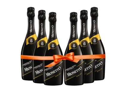 Produktový balík 6x Mio Avandgarde Valdobbiadene DOCG Extra Dry