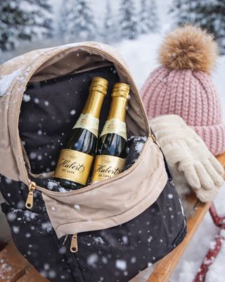 ❄️ Must-have zimnej prechádzky? Rukavice, čiapka a náš Hubert de Luxe v mini verzii.🥂 Niekto nosí na výlet termosku, my...