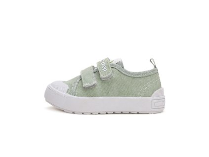 C096 42606A Moss Green 01