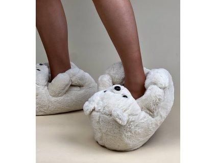 Dámske šľapky Comer YLX5 Beige