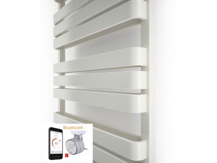 Warp T Bold 1 – kópia