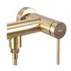 25152 3 foss gold3