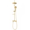 Sprchová súprava Rea Luis s batériou, zlatá, REA-P7006