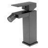 2895 2893 black edition cube bidetova baterie