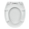 wc sedatko calypso