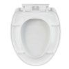 wc sedatko boston