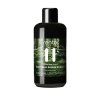 1983 176823 esence wilderness forest 01