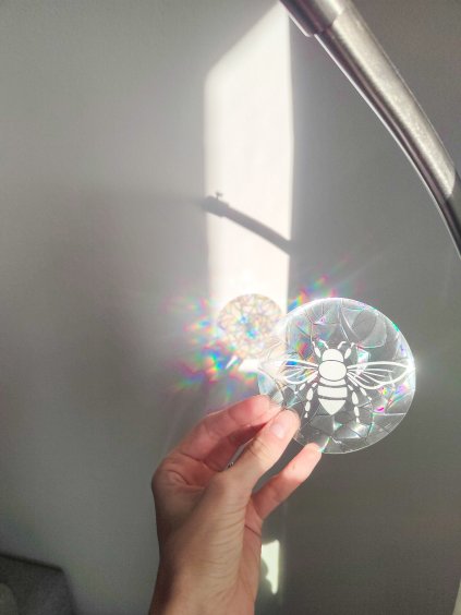 Lapač slunce - včelka