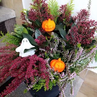 Už máte halloweenské dekorace? Jestli ne, můžete si u nás vybrat duchy, dýně, dýni s chapadly. . . . . #3Dtisk #halloween...