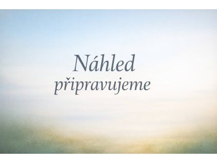 Náhled připravujeme BRK