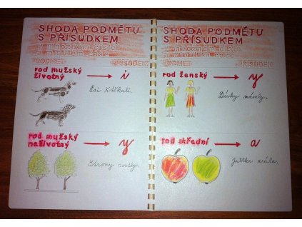 Shoda p sudku 516a8fe0efbae