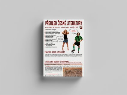 ceskaliteratruraprehled