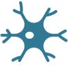 neuron512x512