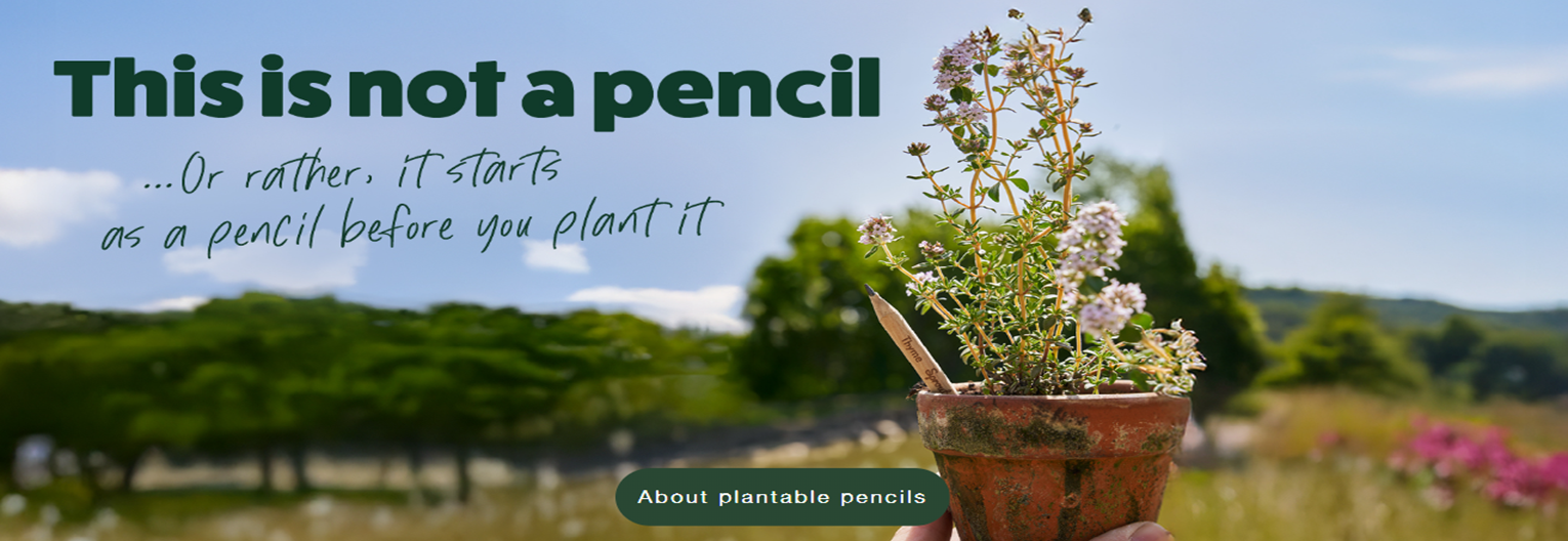 Pestovateľské ceruzky