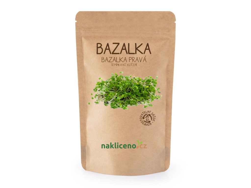 produktove foto seminka bazalka