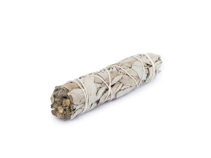 Šalvěj bílá, mini svazek 10 cm, 15 g