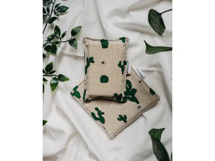 Pratelné houbičky s hadříky kaktus