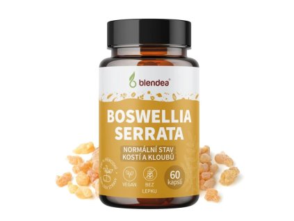 Boswellia serrata 60 kapslí