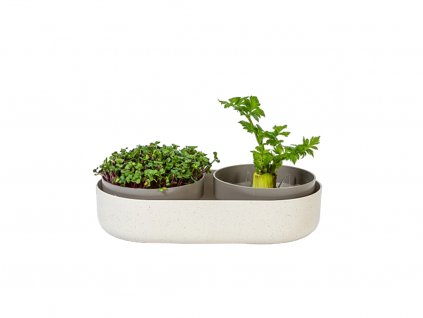 Klíčící miska MICROGREENS + Regrow slonová kost s kávovou sedlinou
