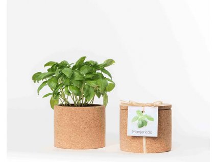 Bazalka - korkový květináč