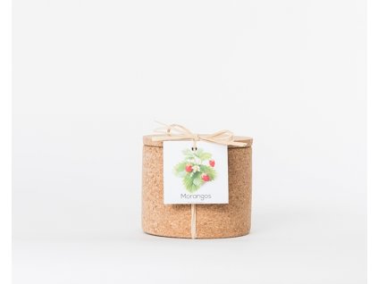 Jahody - korkový květináč