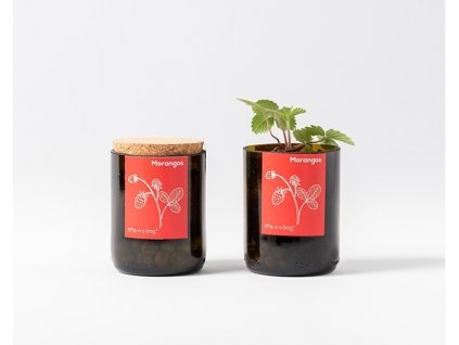 Life in a bag Jahody - poháre