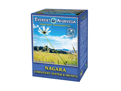 caj nagara.png 800x600 q85 subsampling 2