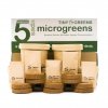 Pestovateľská sada Microgreens Tiny Greens - 5 téglikov
