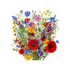 3682 1 janamihu poppy is a dominant very vibrant picture bright stro 7aa6027d 9d5f 419f ae61 2f484e593d0c 0