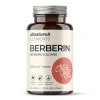 allnature elements berberin 500 mg 60 cps