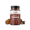 chaga