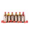 Testovací set zálivek 6 x 340ml