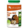 Chaga BIO 180 tablet