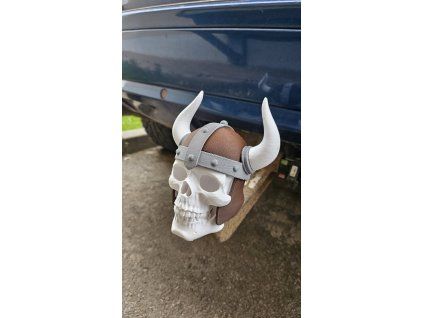 Lebka viking