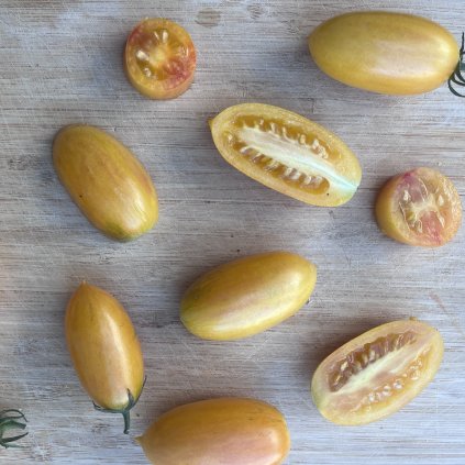 Rajče Artisan Blush Tiger